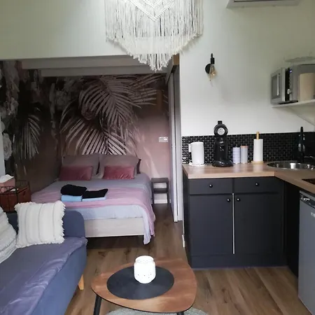 Petit Cocon Avec Terrasse Appartement LʼIsle-sur-la-Sorgue Buitenkant foto