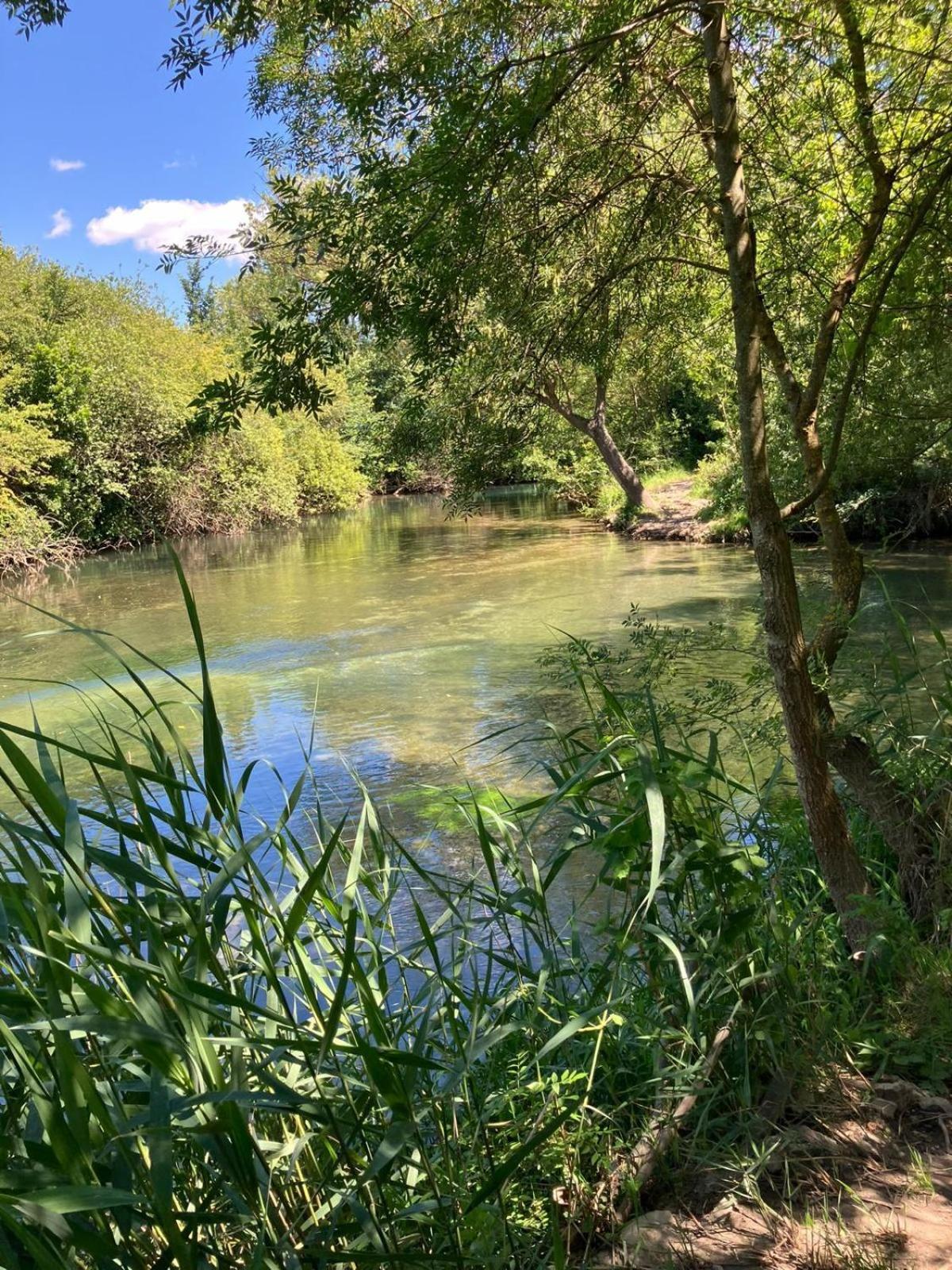 Petit Cocon Avec Terrasse L'Isle-sur-la-Sorgue